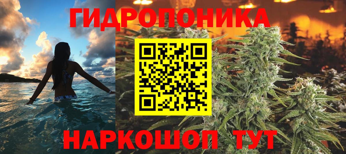 Марихуана конопля Подольск
